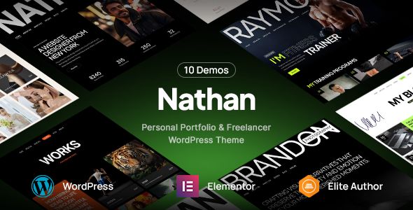 Nathan – Personal Resume CV Portfolio WordPress Theme